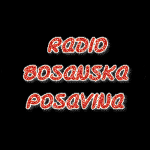 Bosanska Posavina